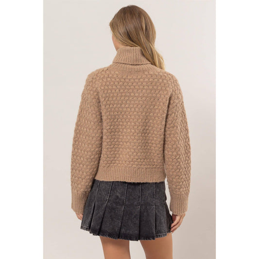 Turtleneck Sweater: Taupe