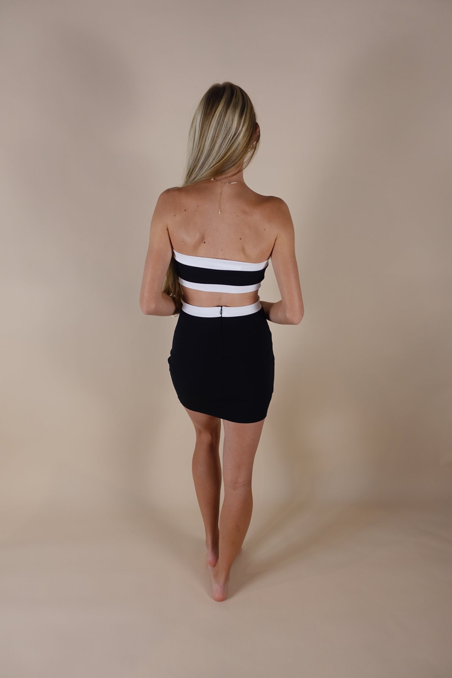 Taryn Two Tone Dress - Black & White