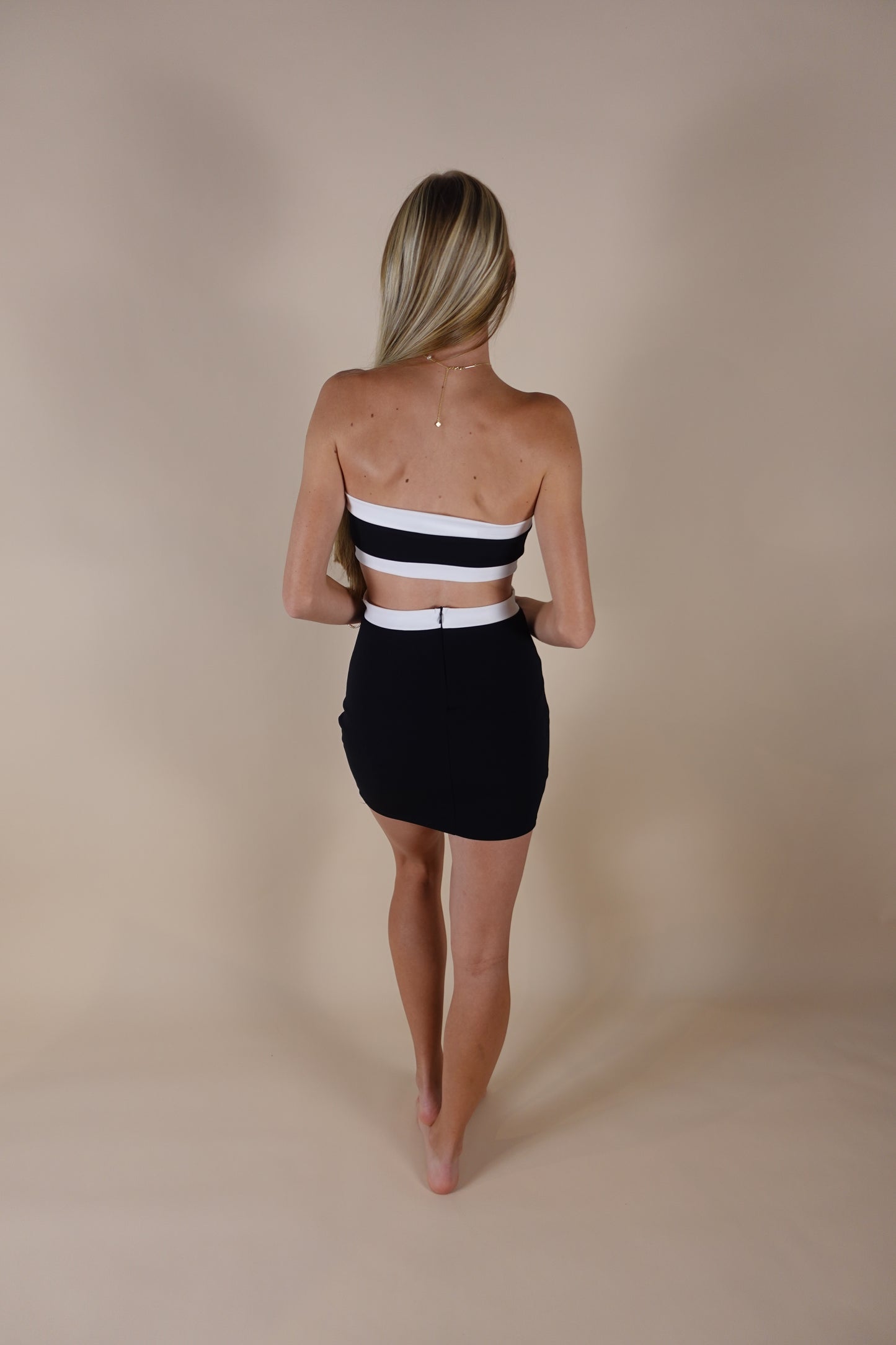 Taryn Two Tone Dress - Black & White