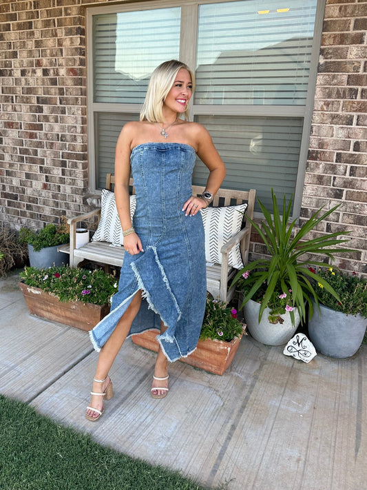 Allyn Denim Dress