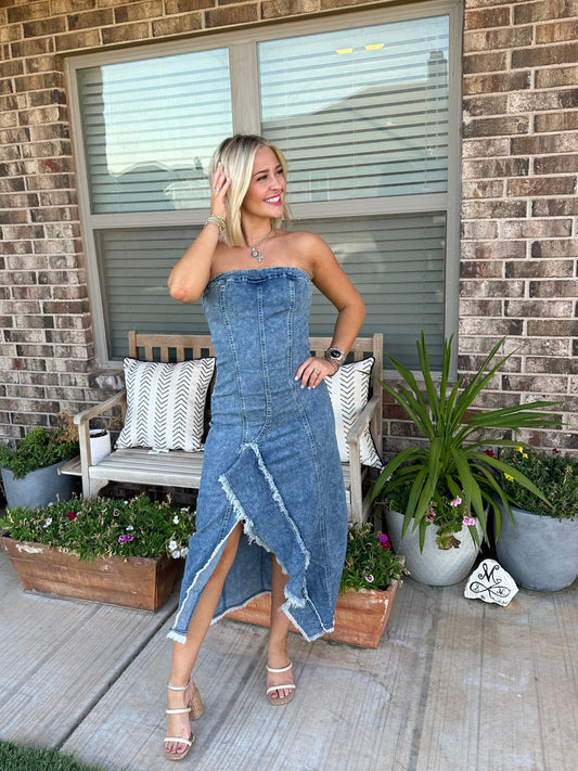 Allyn Denim Dress