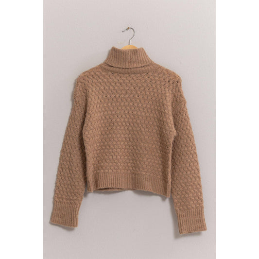 Turtleneck Sweater: Taupe